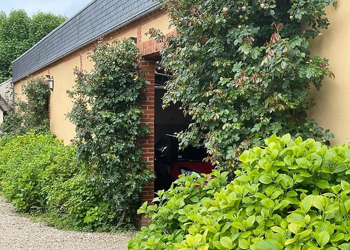 Des Fleurs Et Des Vagues Daire Villerville